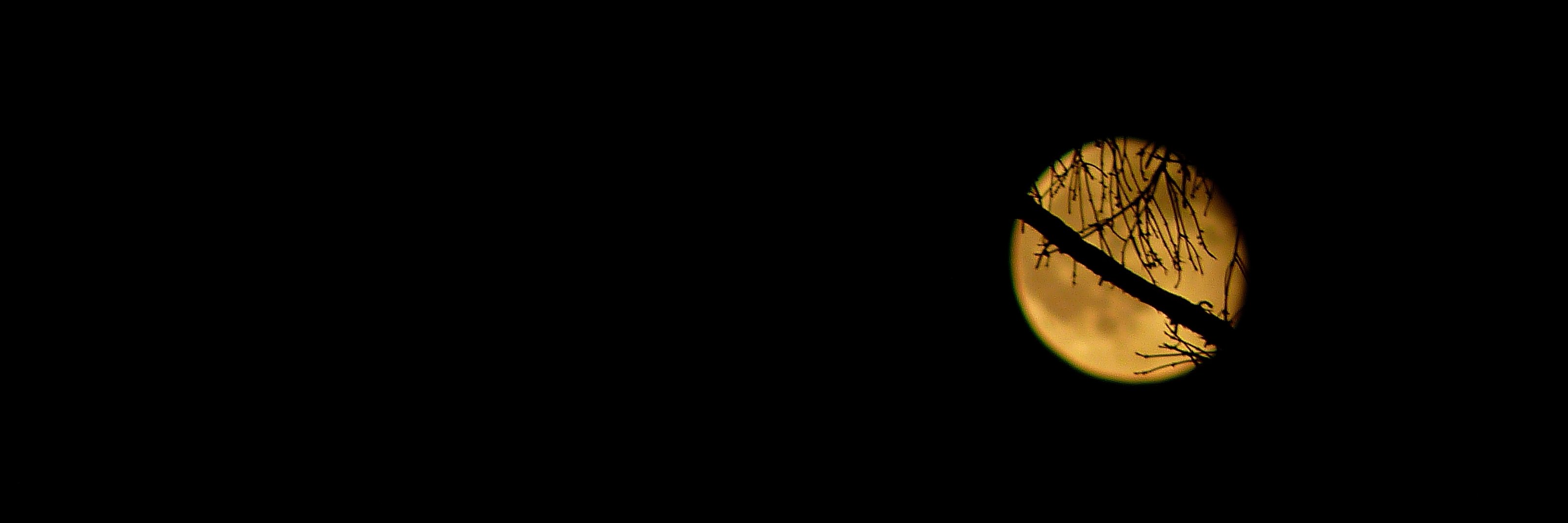 Justinawind's profile banner image