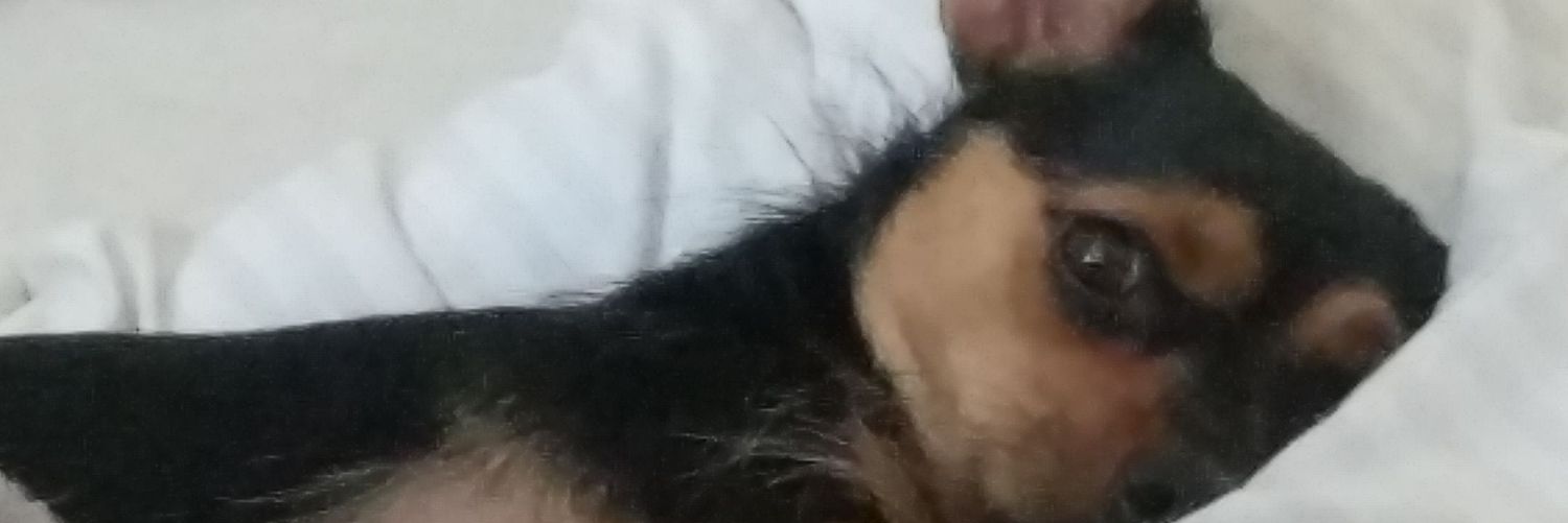 Raxrtos's profile banner image
