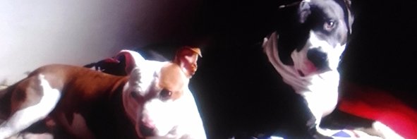 CHALITOS71's profile banner image