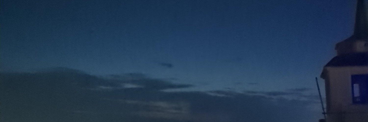 Budgenat0r's profile banner image