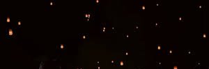S_T_509's profile banner image