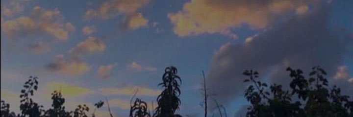TotMarMar's profile banner image