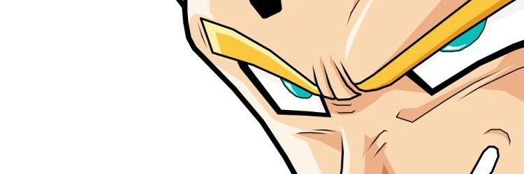 Vegetoku's profile banner image