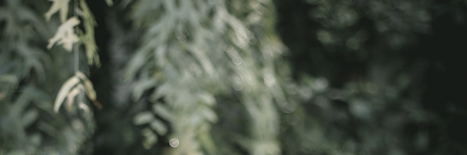 netty_teera's profile banner image