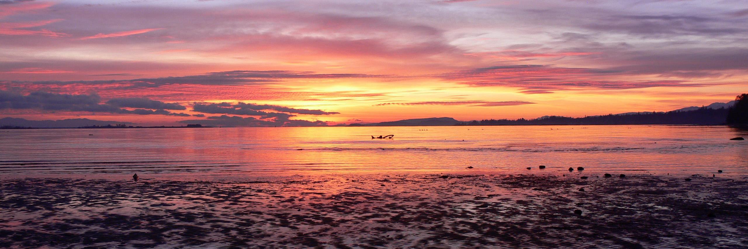 Kenzie Ferris banner