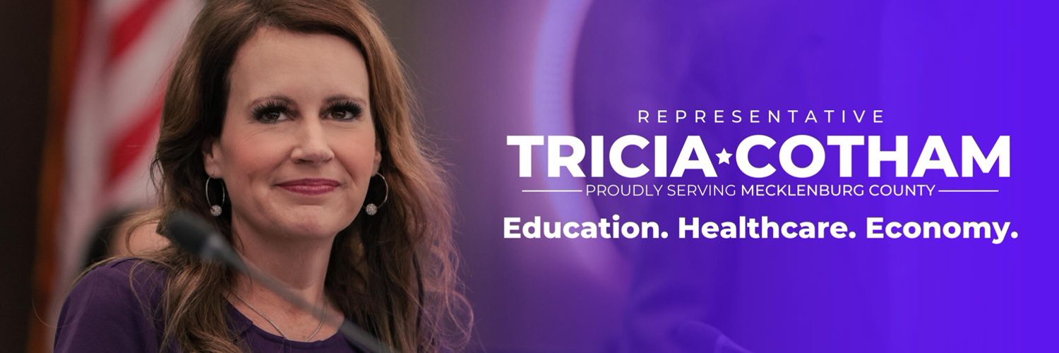 Tricia Cotham Profile Banner