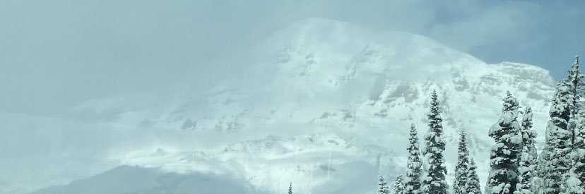 Lilamz11's profile banner image
