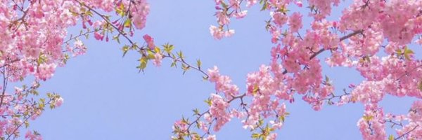 AUCoachColl Profile Banner