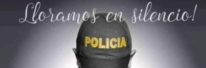 rubiveram's profile banner image