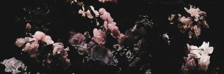James🔪 banner