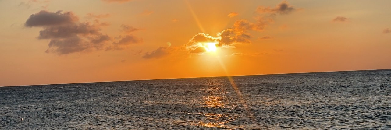 Sergio Ortega banner