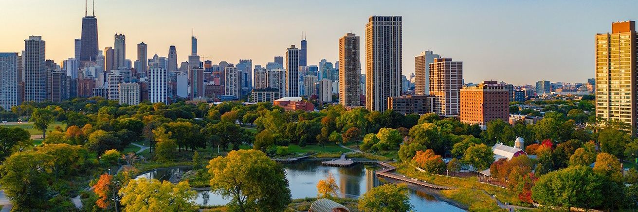 Nina J Clark, MBA banner