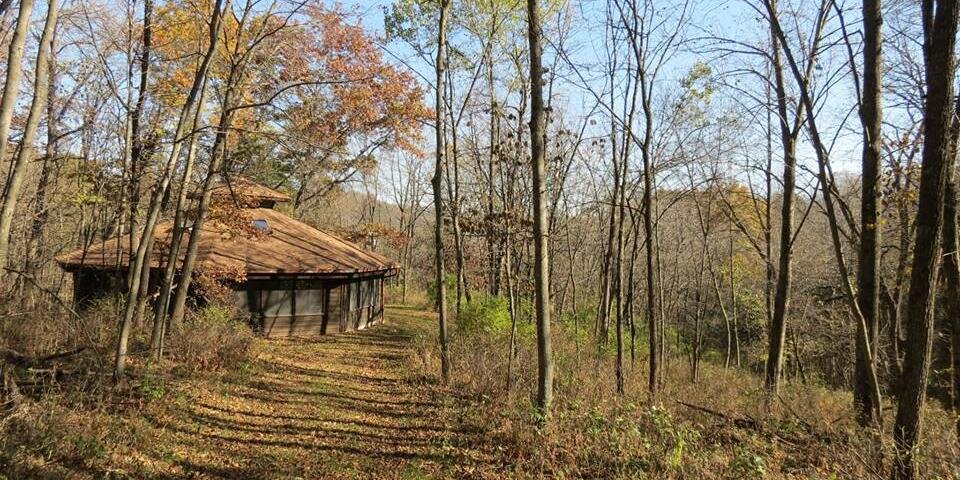 Julie Kirkpatrick 🤓💯 banner