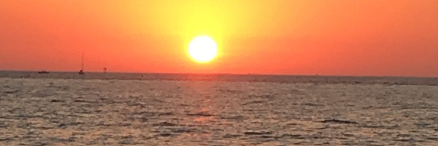 JudyPardonnet's profile banner image
