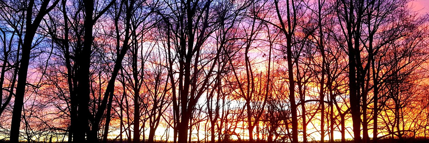 YoungKatesea567's profile banner image