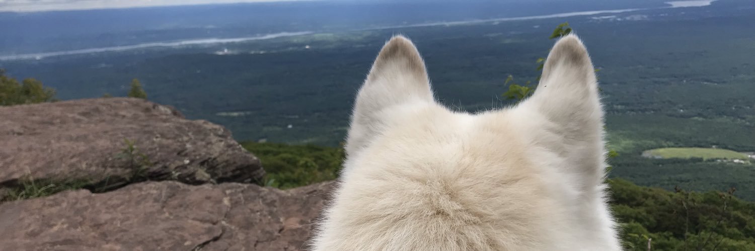 ES_Eliot's profile banner image