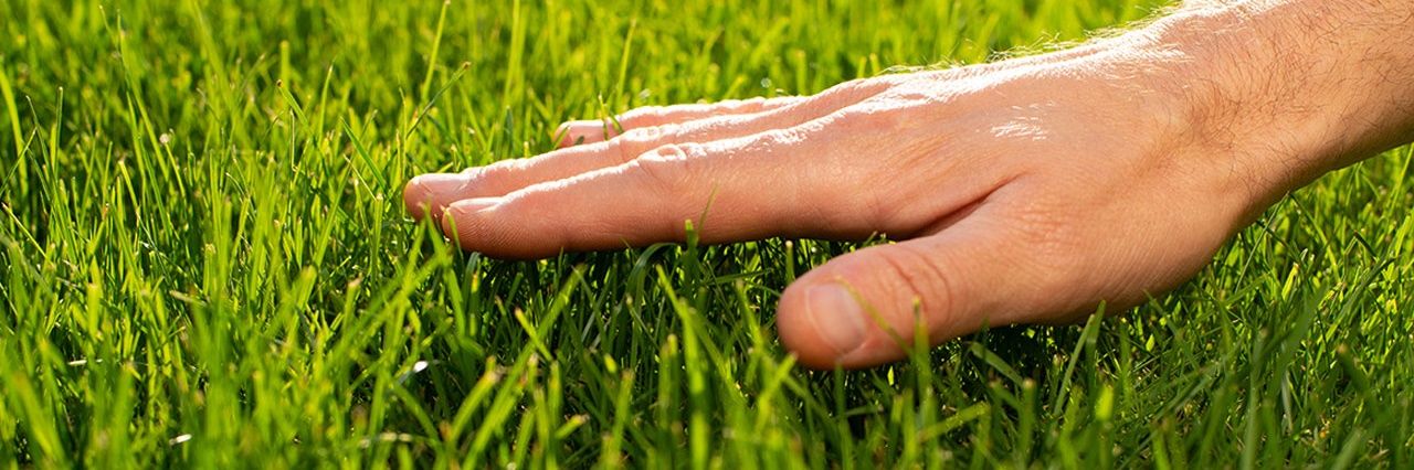 Your mom's favorite profile banner