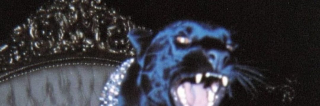 CGRH021997's profile banner image