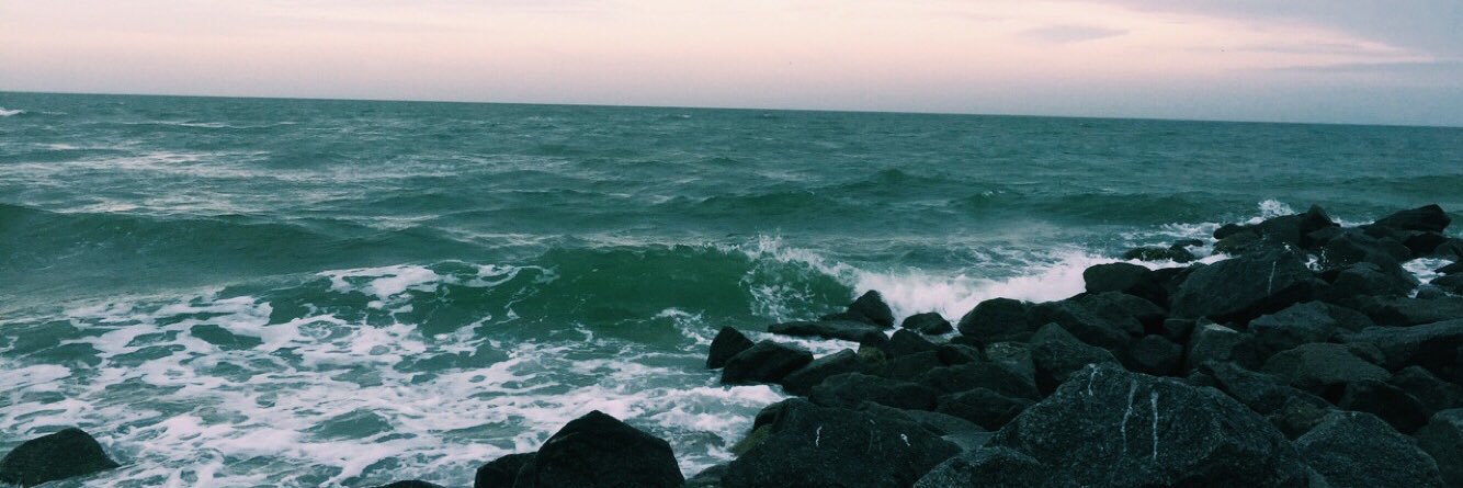 _lelia's profile banner image