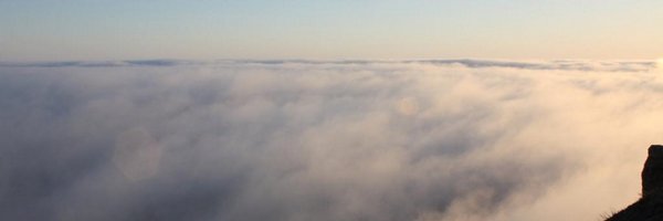 the_mindwanders Profile Banner