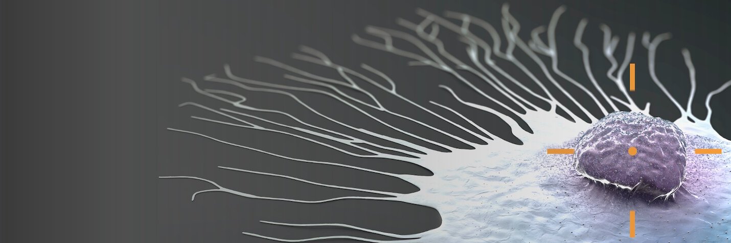 Soricimed Biopharma Inc. banner