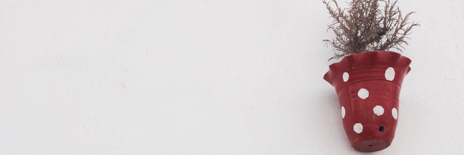 migue_570's profile banner image
