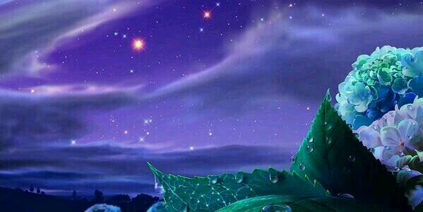 alloush711's profile banner image