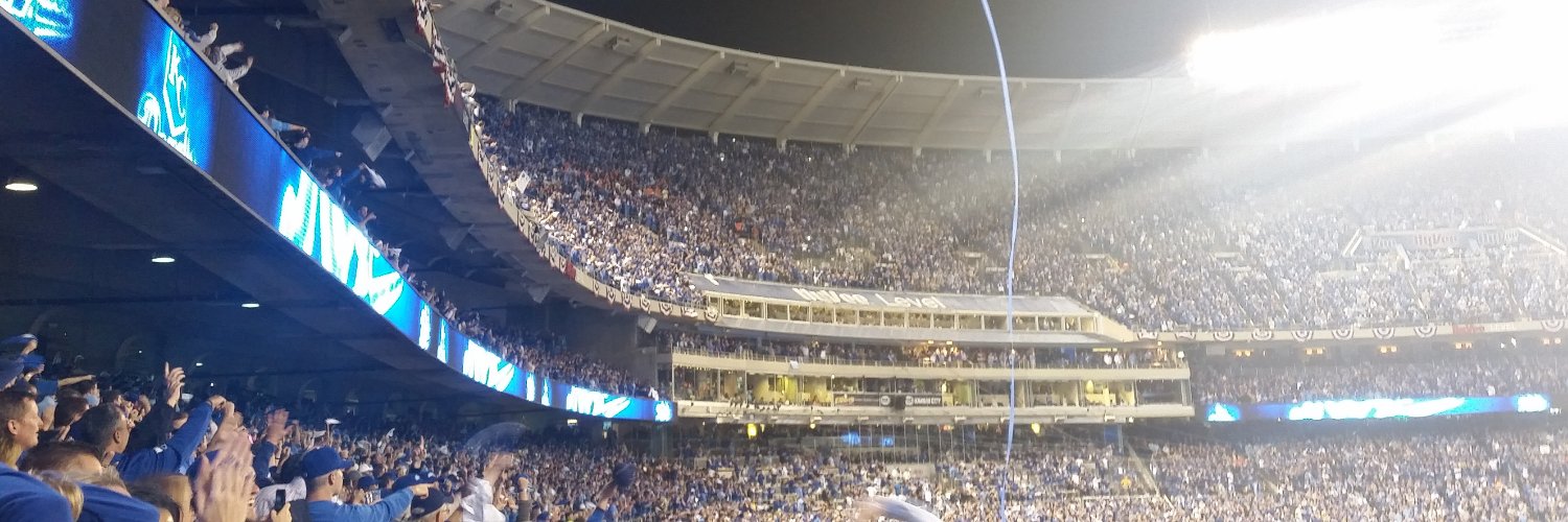 Goose banner