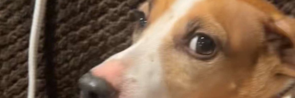 Zanderploktinnn's profile banner image