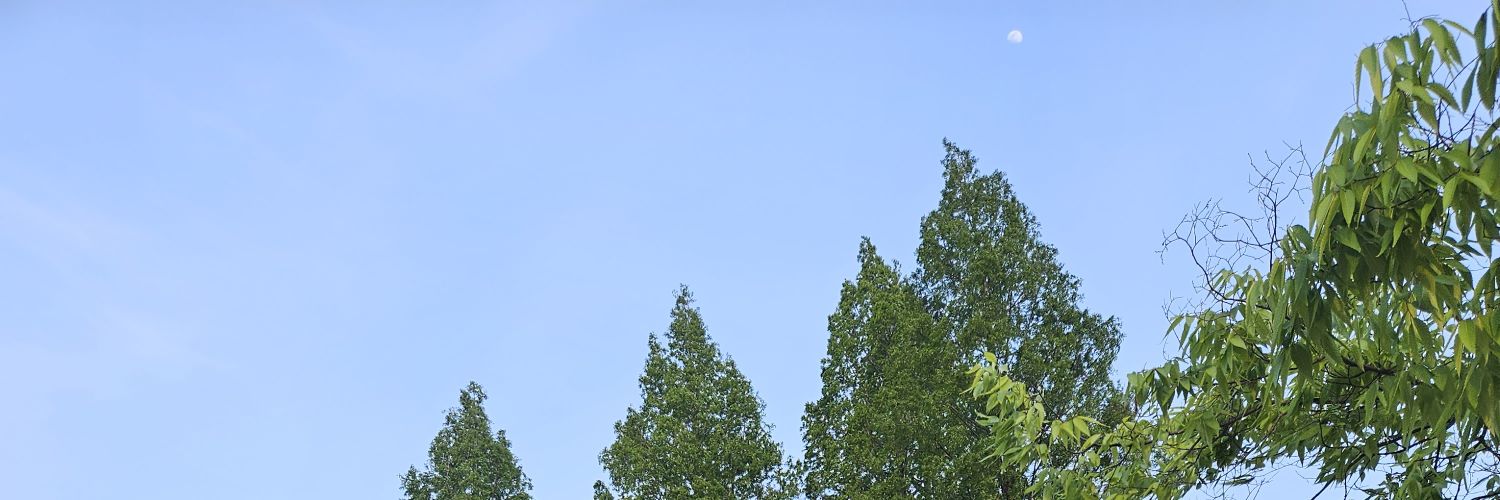 huckin971's profile banner image