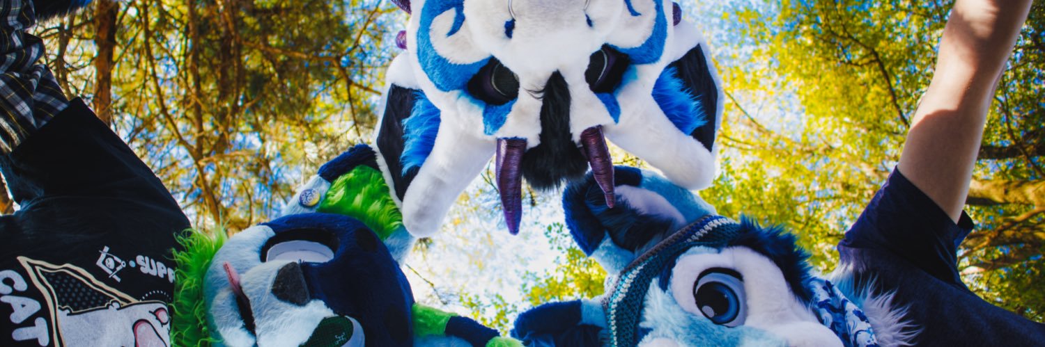 dashie_captures's profile banner image