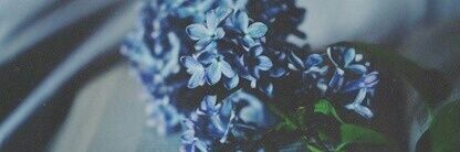 bc_iam_unique's profile banner image
