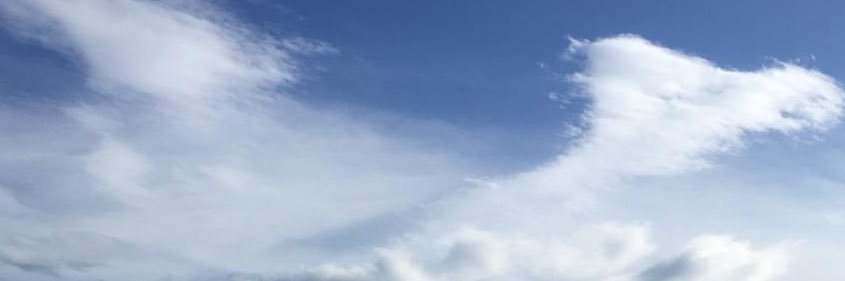 martugr's profile banner image