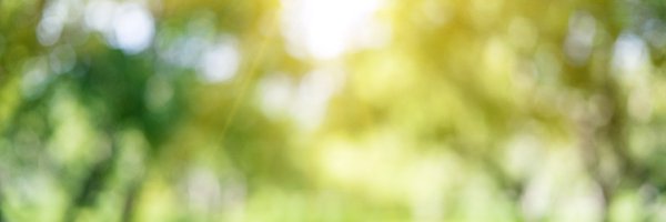 WV_DH_DHF_DoHS Profile Banner