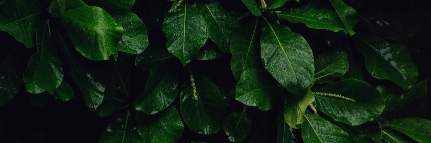 nihaokhet's profile banner image