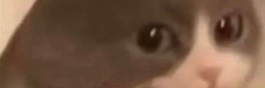 thomasgordon014's profile banner image