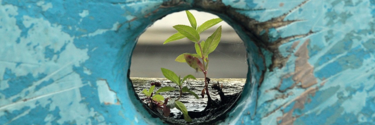 Stephen P. Lewis banner