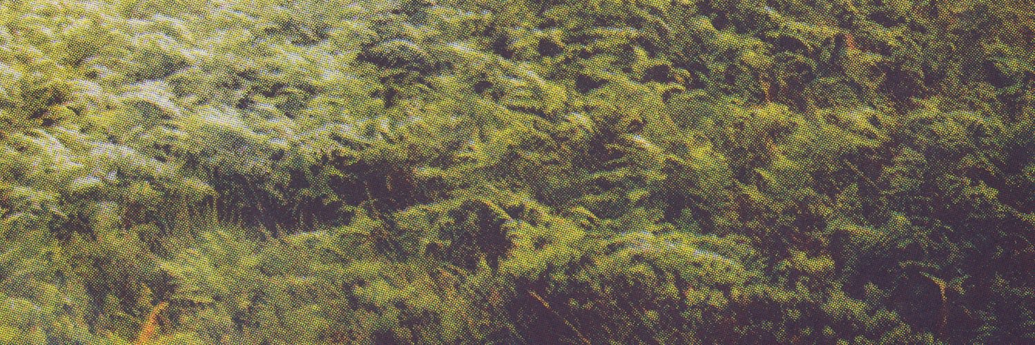 Jacob Lindgren banner