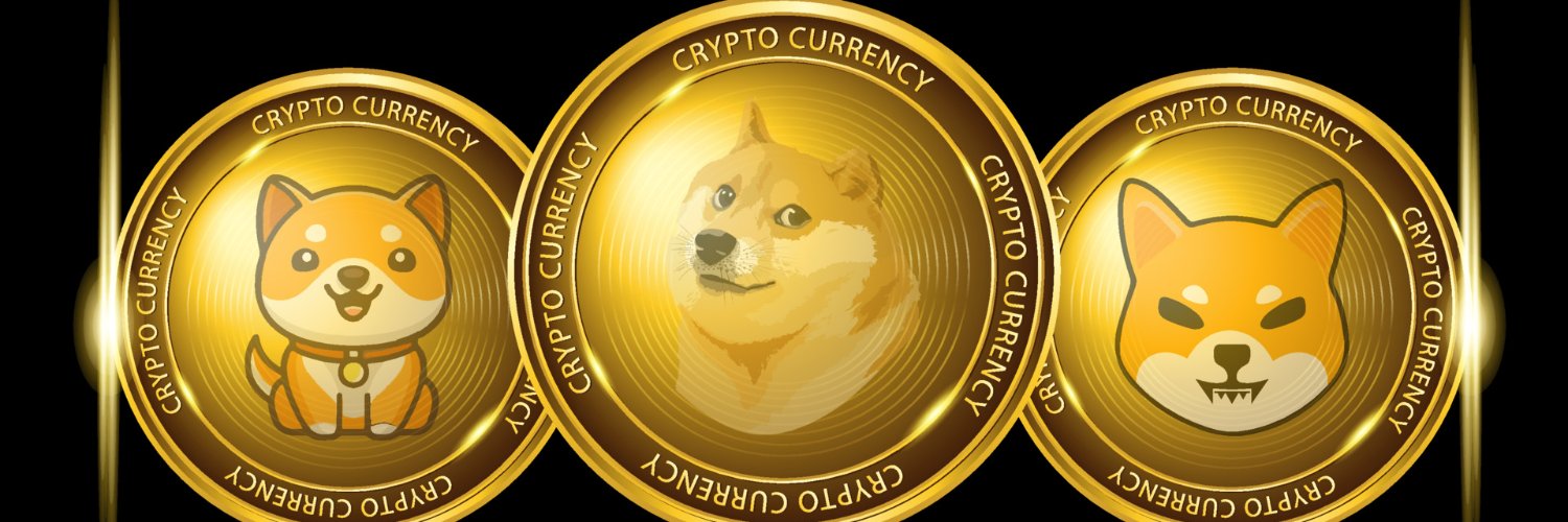 Vinionli's profile banner image