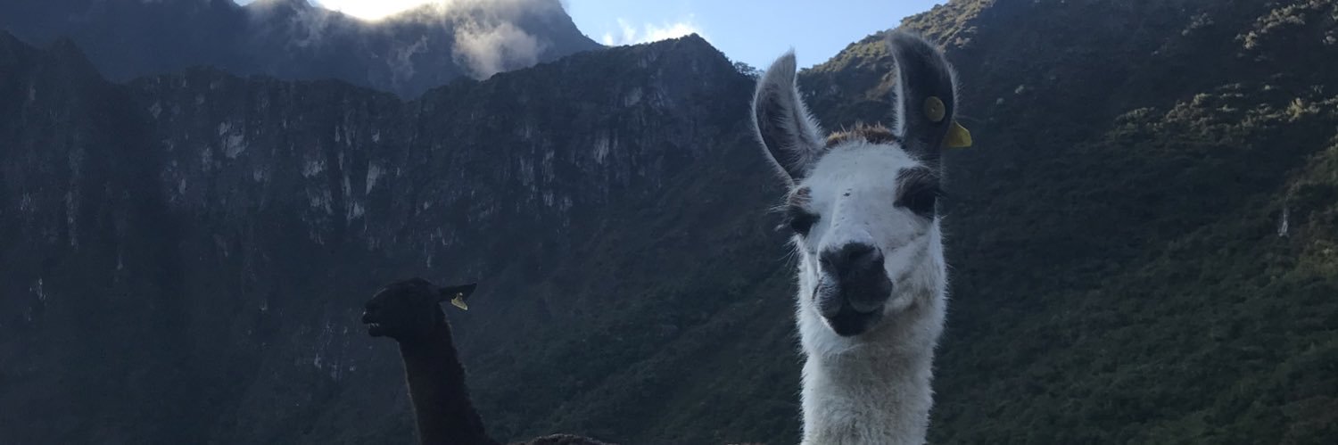 WaliczekClaire's profile banner image