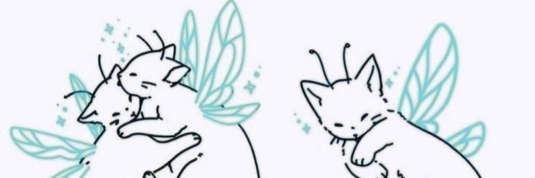 aleloves5SOS's profile banner image