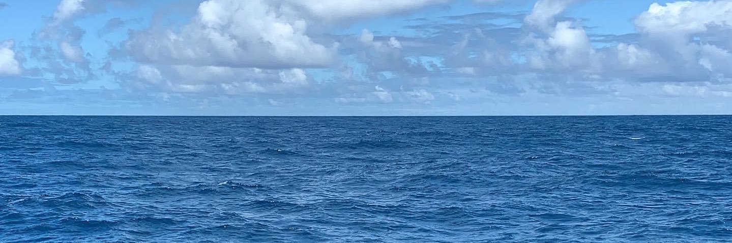 mutrini's profile banner image