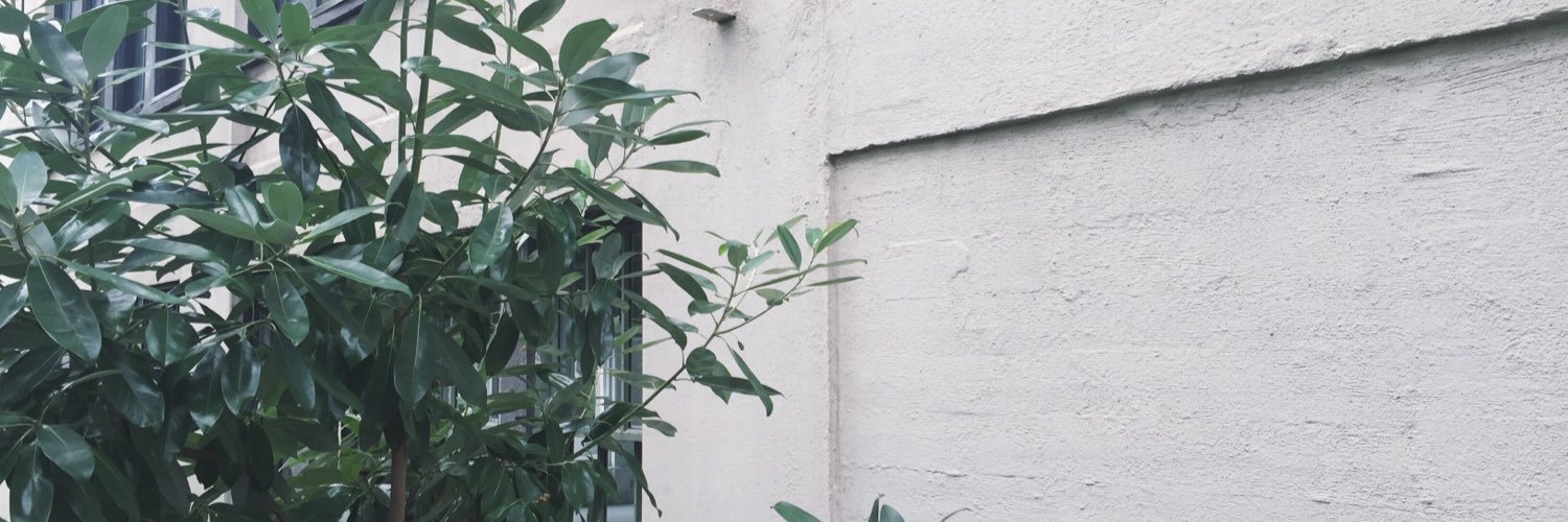 alisoncxo's profile banner image