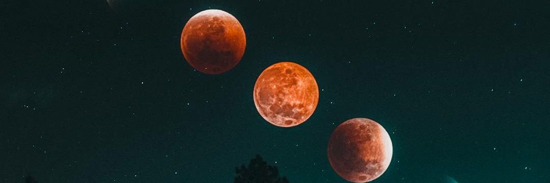 FerAlex1296's profile banner image