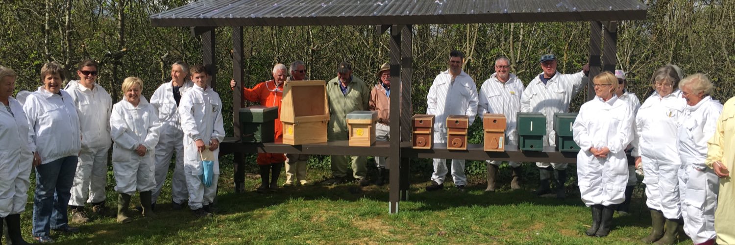 laddingfordbees's profile banner image