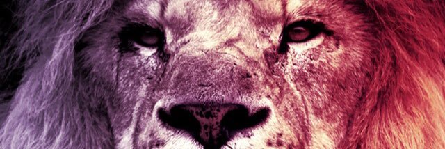 _wansilva94's profile banner image