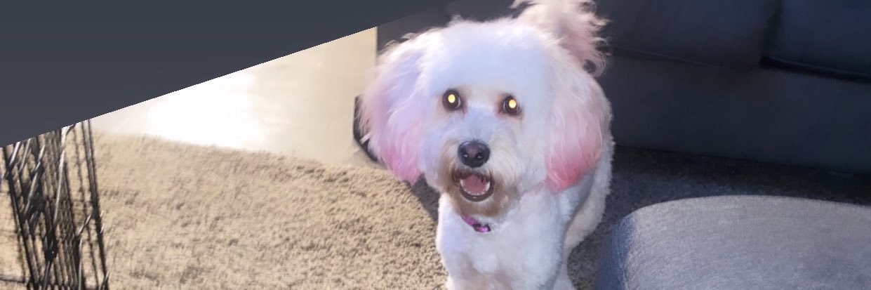 theeproblem__'s profile banner image