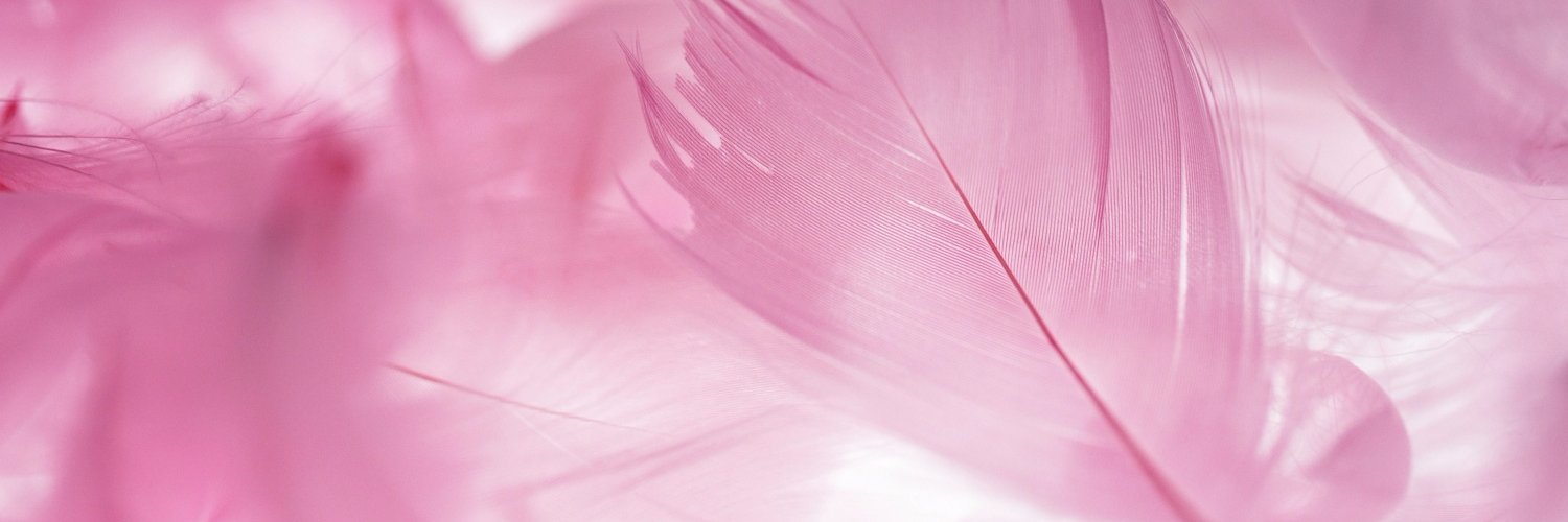 severinemdp's profile banner image
