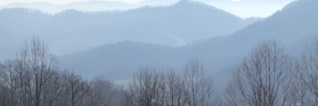 indigostar1027's profile banner image