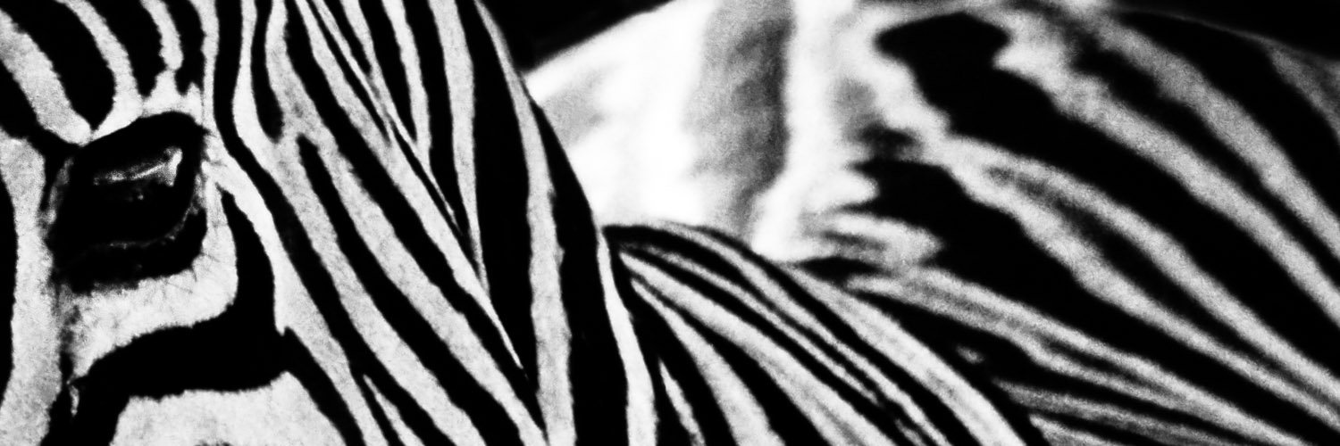 ppatrunophoto's profile banner image